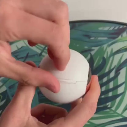 Bola Mágica Atrapa Pelos